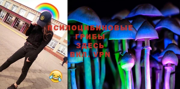 сатива Гусев