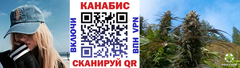 Бошки Шишки сатива  цена   Могоча 